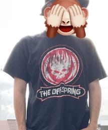 THE OFFSPRING | '2017(Tシャツ/カットソー)