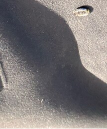 Shinzone_ | ジャケット/アウター