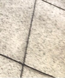 LE TALON | パンプス