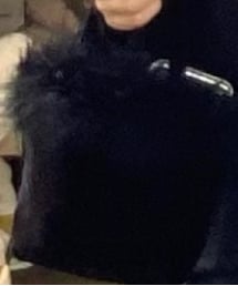 thevirgins | ハンドバッグ