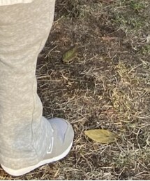 NEW BALANCE | スニーカー