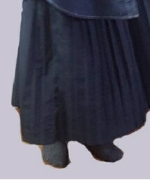 不明 | スカート