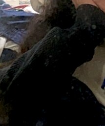 UNIQLO | ニット/セーター