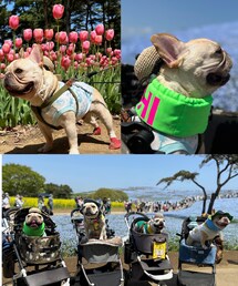 ネモフィラを見に☺︎ | まさかの偶然でお友達に遭遇👏一緒にお写真混ぜてもらった🙈(その他)