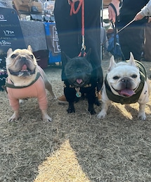 久々イベント | その他