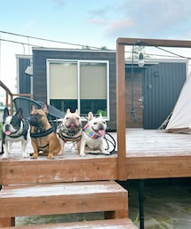 久々のお友達と☺︎ | その他