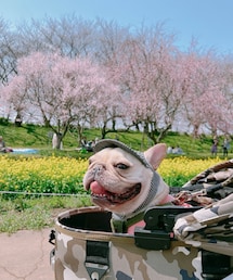 ☺︎ | その他