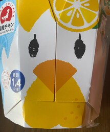 からあげクン🍋 | その他