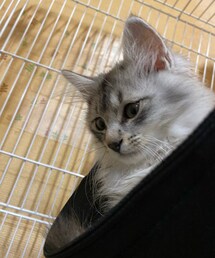 別ショット | その他