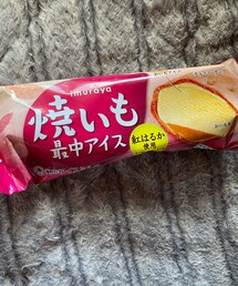 🍨最中 | その他
