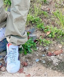 adidas | スニーカー