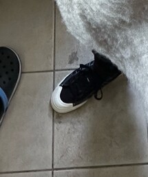 adidas | スニーカー
