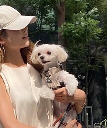 おこちゃん🐶 | その他