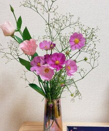 秋桜🌼*･ | その他