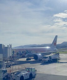飛行機✈︎♡ | その他