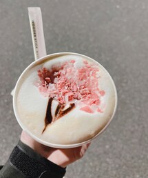 スタバ桜 | その他