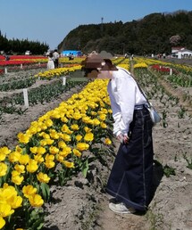 この前のチューリップ⸜🌷︎⸝ | その他