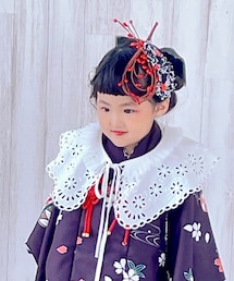 𓃺雑貨屋さん | 付け襟