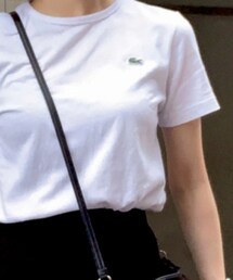 LACOSTE | Tシャツ/カットソー