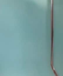 インスタ @shekou_jp | その他