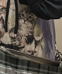 VINTAGE | Tシャツ/カットソー