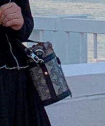 Vivienne Westwood | バッグ