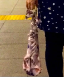 Vivienne Westwood | 折りたたみ傘