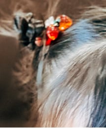 seria | ヘアゴム