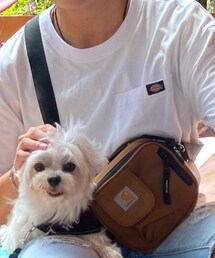 Dickies | Tシャツ/カットソー