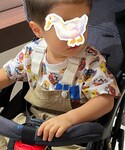 しまむら(シマムラ)の「トップス(Tシャツ/カットソー)」