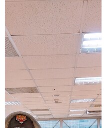 Emma's Sewing Projects  | キャップ