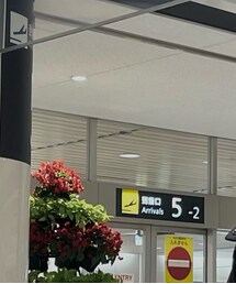 F. | サングラス