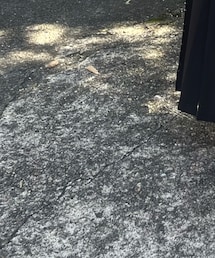 ENVYM | サンダル