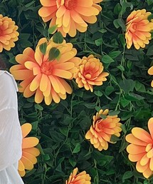ZARA | キャミソール