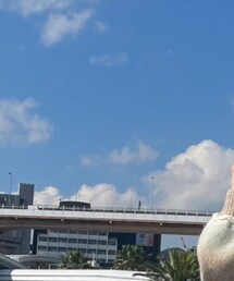 GRL | キャミソール