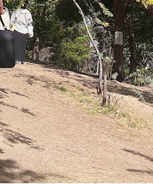 UNIQLO | デニムパンツ