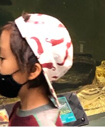 fin&vince | キャップ