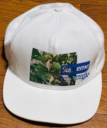 Supreme | Supreme / JUNYA WATANABE COMME des GARCONS MAN Nature 5-Panel Hat "White" 〔21aw〕(キャップ)