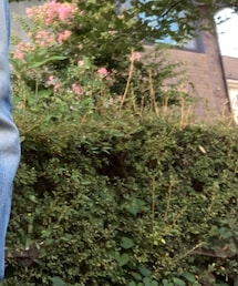 Levi's | デニムパンツ