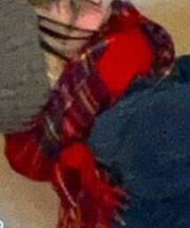 BEAUTY&YOUTH UNITED ARROWS | マフラー