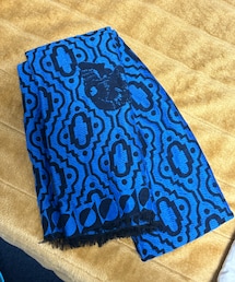 GABRIELE PASINI | ガブリエレパジーニ スカルマフラー ブルー 大判肉厚タイプ 24.10.14 38500円(マフラー)