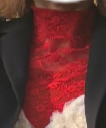 MAISON SPECIAL | レースタートルトップス(その他トップス)