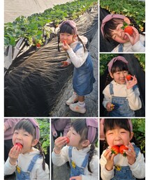 いちご狩り🍓 | その他