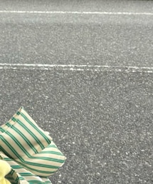 POLO RALPH LAUREN | トップス