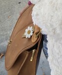 COACH(コーチ)の「バッグ(ショルダーバッグ)」