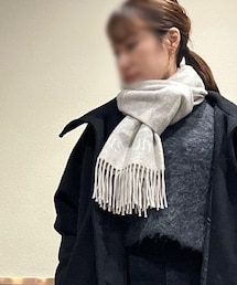 LOUIS VUITTON | マフラー