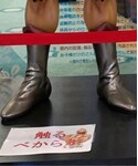 レスリングシューズ(触るべからず)の「シューズ(シューズ)」