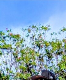 NEW ERA | キャップ