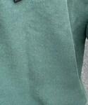 Champion(チャンピオン)の「トップス(スウェット)」