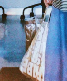 STUSSY | トートバッグ